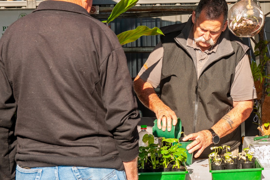 Mandurah Nursery - Pikies Plants