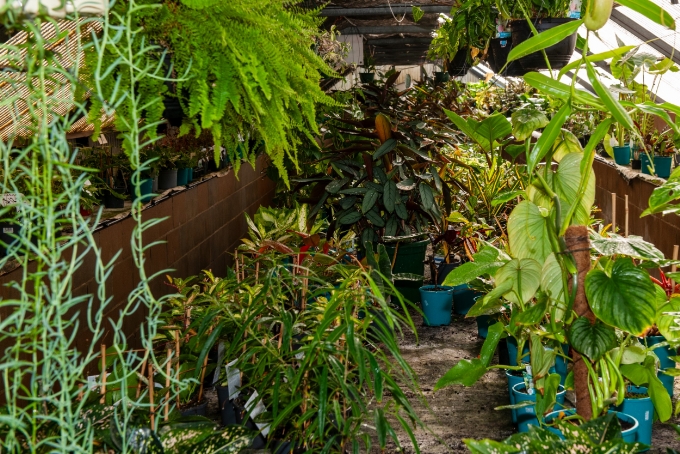 Nursery Mandurah Rd, Golden Bay, WA