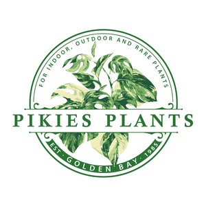 Pikies Nursery Mandurah